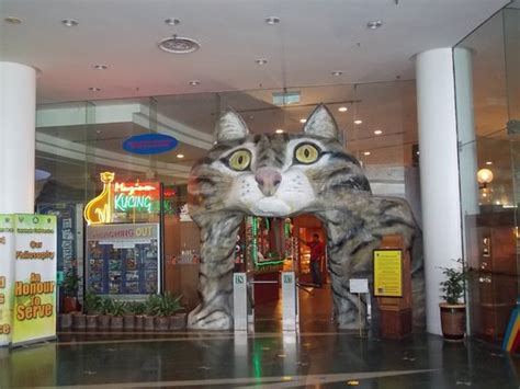 hotels near cat museum|THE 10 CLOSEST Hotels to Cat Museum .